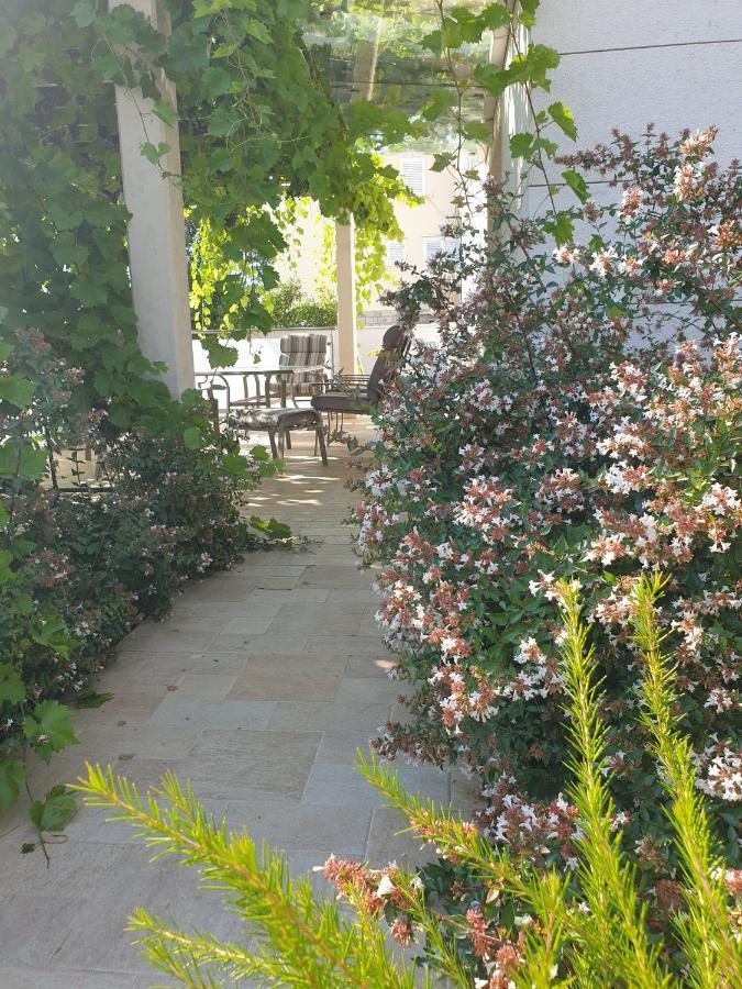 דירות דוברובניק Abelia, Two Terraces, Hot Tub, Free Parking מראה חיצוני תמונה