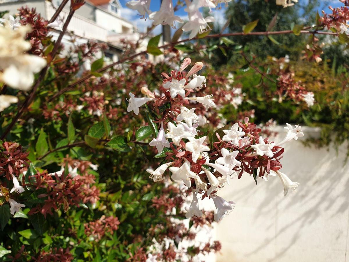 דירות דוברובניק Abelia, Two Terraces, Hot Tub, Free Parking מראה חיצוני תמונה